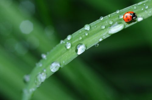 Law of attraction - Life as we think we know it