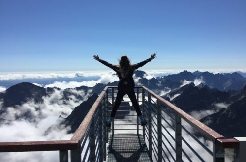Following the blueprint in life